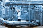 Explore Seafood Processing Equipment