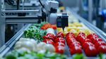 Optical Food Sorting Technology Explained: Modern Methods & Benefits